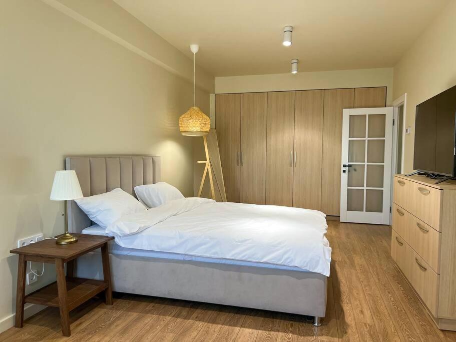 2 Bedroom On Ismail Corner Stefan Cel Mare, New Apartment, Chisinau Center! Esterno foto